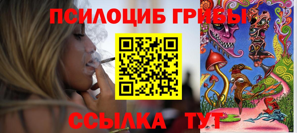 Галлюциногенные грибы GOLDEN TEACHER  купить  цена  Ачхой-Мартан  Вход с VPN 