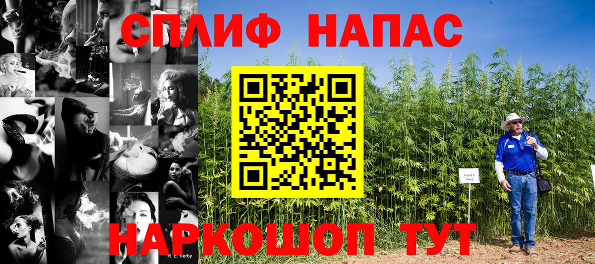 Бошки Шишки планчик Ачхой-Мартан